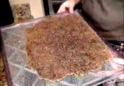 Raw And Organic Onion Bread